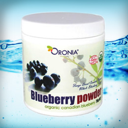 블루베리 파우더