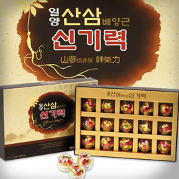 산삼배양근 신기력