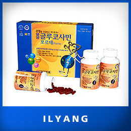 글루코사민 포르테